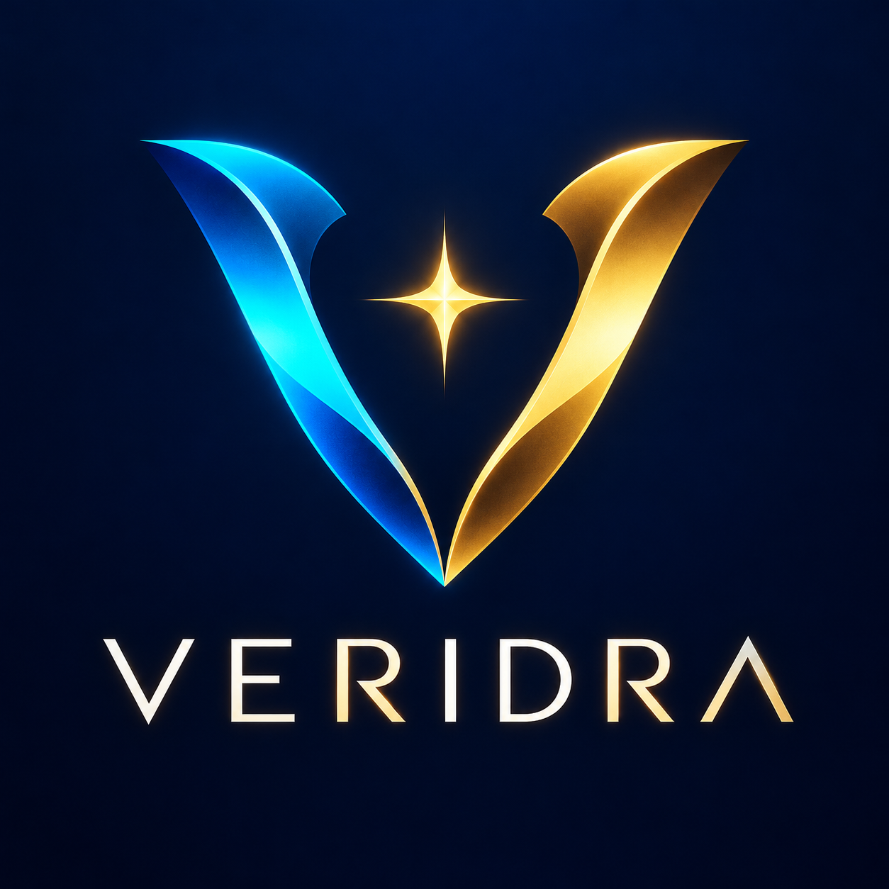 VERIDRA — See the Work graphic